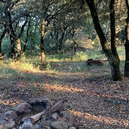 Glamping Grignan 6 Personnes Vue Exceptionnelle مكان تخييم *